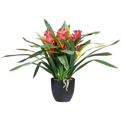 BELIANI Pianta Artificiale In Vaso Per Interni In Plastica Con Vaso Nero 50 Cm Guzmania Atilla BELIANI Pianta Artificiale In Vaso Per Interni In Plastica Con Vaso Nero 50 Cm Guzmania Atilla