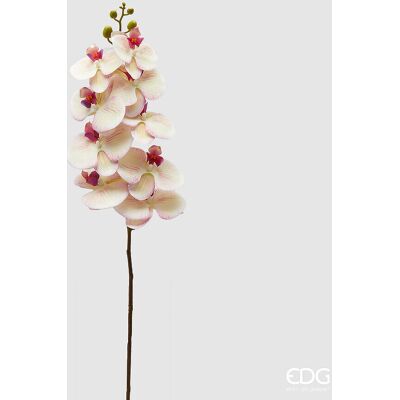 EDG Enzo De Gasperi Orchidea Phalaenopsis Ramo Artificiale H 94 Cm White Violet EDG Enzo De Gasperi Orchidea Phalaenopsis Ramo Artificiale H 94 Cm White Violet
