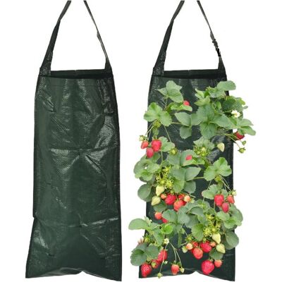 OEM Sacchi Per La Coltivazione Verticale Di Fragole Con 8 Fori Di Ventilazione - Confezione Da 2 - Ideali Per Il Giardinaggio Verticale - 25 X 60 Cm OEM Sacchi Per La Coltivazione Verticale Di Fragole Con 8 Fori Di Ventilazione - Confezione Da 2 - Ideali Per Il Giardinaggio Verticale - 25 X 60 Cm