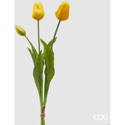 EDG Enzo De Gasperi Tulipano Gommato Olis 3 Rami H 48 Cm Giallo 1 Cf EDG Enzo De Gasperi Tulipano Gommato Olis 3 Rami H 48 Cm Giallo 1 Cf