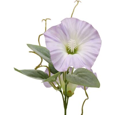 ATMOSPHERA Stelo Di Petunia Artificiale Phoebe H76 Cm Bianco - Créateur D'Intérieur ATMOSPHERA Stelo Di Petunia Artificiale Phoebe H76 Cm Bianco - Créateur D'Intérieur
