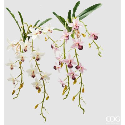 EDG Enzo De Gasperi Orchidea Dendrobium Cadente Artificiale H 82 Cm Con Foglie Ass. White Pink 1 Pz EDG Enzo De Gasperi Orchidea Dendrobium Cadente Artificiale H 82 Cm Con Foglie Ass. White Pink 1 Pz