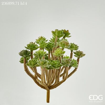 EDG Enzo De Gasperi Succulenta Pick H 14 Cm Light Green – Pianta Artificiale Decorativa Realistica Design Moderno EDG Enzo De Gasperi Succulenta Pick H 14 Cm Light Green – Pianta Artificiale Decorativa Realistica Design Moderno