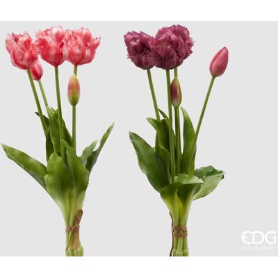 EDG Enzo De Gasperi Bouquet 5 Tulipani Parrot Olis Ass. H 40 Cm Two Tone Pink 1 Pz EDG Enzo De Gasperi Bouquet 5 Tulipani Parrot Olis Ass. H 40 Cm Two Tone Pink 1 Pz
