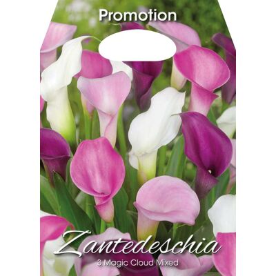 ALTRO Zantedeschia Magic Cloud Mixed (confezione Da 3 Bulbi) ALTRO Zantedeschia Magic Cloud Mixed (confezione Da 3 Bulbi)