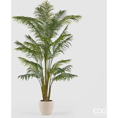 EDG Enzo De Gasperi Pianta Artificiale Palma Areca Vogue Con Vaso H240 Cm – Pianta Decorativa Realistica Design Moderno EDG Enzo De Gasperi Pianta Artificiale Palma Areca Vogue Con Vaso H240 Cm – Pianta Decorativa Realistica Design Moderno