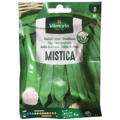 VILMORIN Mistical Berry Ebrei Semi - Oltre 25 Gr. - VILMORIN Mistical Berry Ebrei Semi - Oltre 25 Gr. -