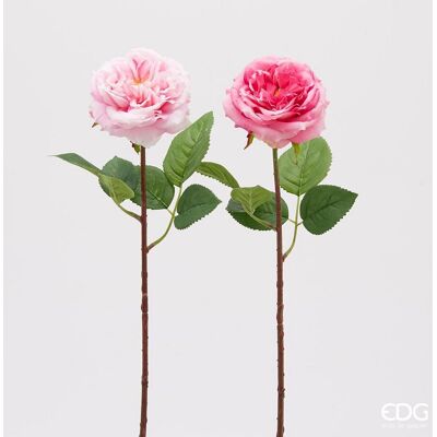 EDG Enzo De Gasperi Rosa Alma Olis 2 Fg Ass. H 48 Cm Pianta Artificiale Rosa Chiaro O Scuro 1 Pz EDG Enzo De Gasperi Rosa Alma Olis 2 Fg Ass. H 48 Cm Pianta Artificiale Rosa Chiaro O Scuro 1 Pz