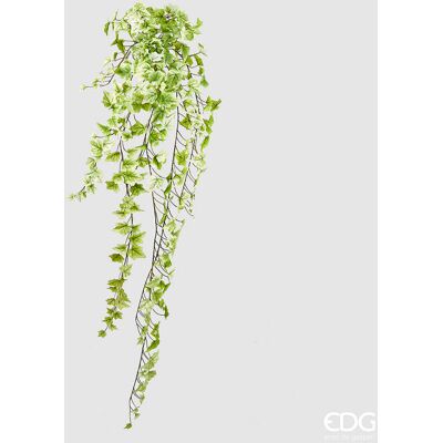 EDG Enzo De Gasperi Edera Bell Cadente X303 H 130 Cm Pianta Artificiale Verde Chiaro EDG Enzo De Gasperi Edera Bell Cadente X303 H 130 Cm Pianta Artificiale Verde Chiaro