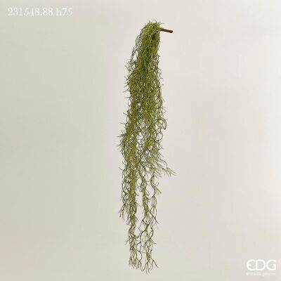 EDG Enzo De Gasperi Tillandsia West Cadente H 75 Cm Pianta Artificiale Verde Salvia EDG Enzo De Gasperi Tillandsia West Cadente H 75 Cm Pianta Artificiale Verde Salvia
