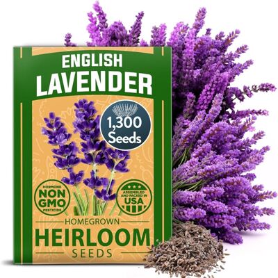 AULEDIO Semi Lavanda 2600 Pezzi, Lavanda Inglese Per Giardino E Balcone AULEDIO Semi Lavanda 2600 Pezzi, Lavanda Inglese Per Giardino E Balcone