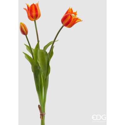 EDG Enzo De Gasperi Tulipano Gommato Olis 3 Rami H 48 Cm Arancione 1 Cf EDG Enzo De Gasperi Tulipano Gommato Olis 3 Rami H 48 Cm Arancione 1 Cf