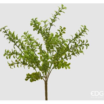 EDG Enzo De Gasperi Pianta Artificiale Bosso Cespuglio H 45 Cm Light Green – Pianta Decorativa Realistica Design Moderno EDG Enzo De Gasperi Pianta Artificiale Bosso Cespuglio H 45 Cm Light Green – Pianta Decorativa Realistica Design Moderno