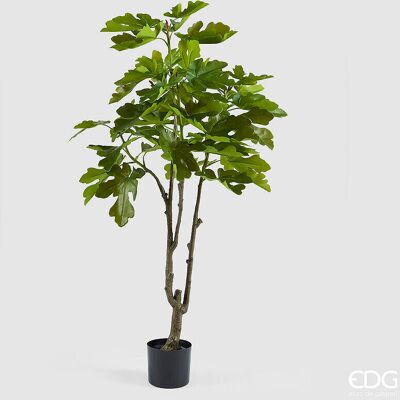 EDG Enzo De Gasperi Fico Con Vaso H 150 Cm Pianta Artificiale Verde EDG Enzo De Gasperi Fico Con Vaso H 150 Cm Pianta Artificiale Verde