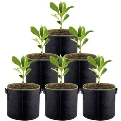 OEM Set Di 6 Sacchi Per La Semina In Tessuto Non Tessuto Da 3 Galloni Per Patate, Pomodori, Ortaggi, Erbe Aromatiche -crezuo OEM Set Di 6 Sacchi Per La Semina In Tessuto Non Tessuto Da 3 Galloni Per Patate, Pomodori, Ortaggi, Erbe Aromatiche -crezuo