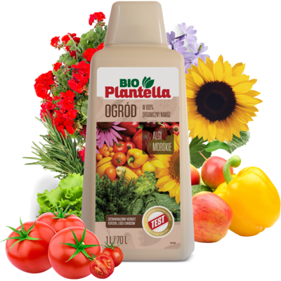 OEM Bio Plantella Fertilizzante Ecologico A Base Di Alghe Per Ortaggi, Erbe Aromatiche, Frutta E Fiori 1l OEM Bio Plantella Fertilizzante Ecologico A Base Di Alghe Per Ortaggi, Erbe Aromatiche, Frutta E Fiori 1l