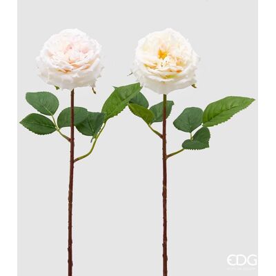 EDG Enzo De Gasperi Rosa Alma Olis 2 Fg Ass. H 48 Cm Pianta Artificiale Bianco Rosa 1 Pz EDG Enzo De Gasperi Rosa Alma Olis 2 Fg Ass. H 48 Cm Pianta Artificiale Bianco Rosa 1 Pz
