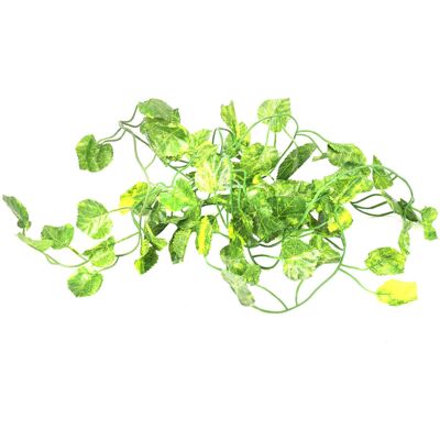 OEM Pianta Artificiale Lunga 2 Metri, Con Foglie Di Edera Verde, Foglie Di Vite Artificiali, Foglie Di Vite Americana Artificiali, Decorazione Per Bar. OEM Pianta Artificiale Lunga 2 Metri, Con Foglie Di Edera Verde, Foglie Di Vite Artificiali, Foglie Di Vite Americana Artificiali, Decorazione Per Bar.