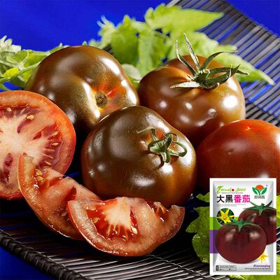 AULEDIO Semi Pomodoro Nero 2 Sacchetti, Semi Orto Varietà Rara AULEDIO Semi Pomodoro Nero 2 Sacchetti, Semi Orto Varietà Rara