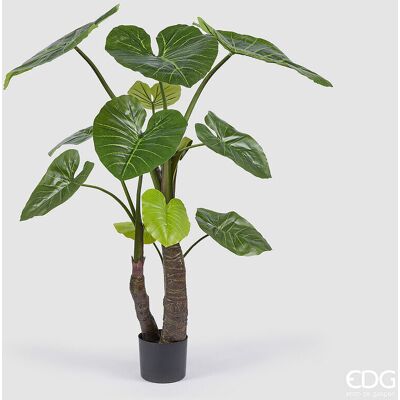 EDG Enzo De Gasperi Alocasia Con Vaso Artificiale H 180 Cm Green EDG Enzo De Gasperi Alocasia Con Vaso Artificiale H 180 Cm Green