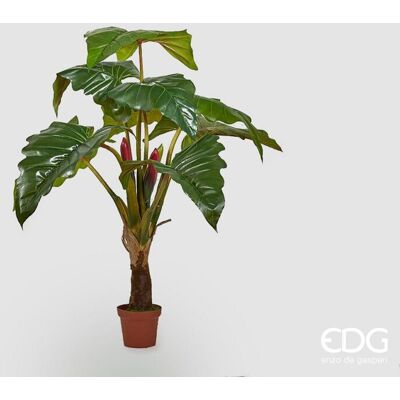 EDG Enzo De Gasperi Alocasia Chic Con Vaso Artificiale H 160 Cm Green EDG Enzo De Gasperi Alocasia Chic Con Vaso Artificiale H 160 Cm Green