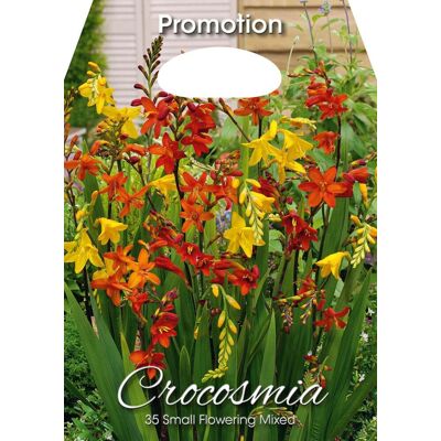ALTRO Crocosmia Small Flowering Mixed (confezione Da 35 Bulbi) ALTRO Crocosmia Small Flowering Mixed (confezione Da 35 Bulbi)
