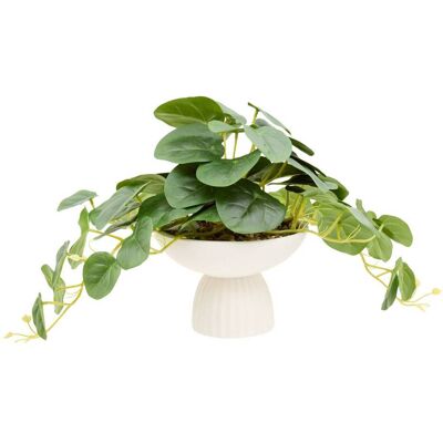 ATMOSPHERA Pilea S Foot Crmq Nippo H29 - Créateur D'Intérieur ATMOSPHERA Pilea S Foot Crmq Nippo H29 - Créateur D'Intérieur