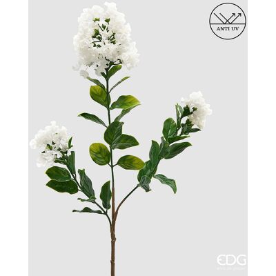 EDG Enzo De Gasperi Lilla Ramo X3 Con Foglie Anti-uv Pianta Artificiale H 56 Cm Bianco EDG Enzo De Gasperi Lilla Ramo X3 Con Foglie Anti-uv Pianta Artificiale H 56 Cm Bianco