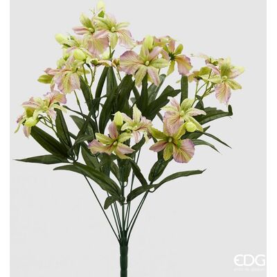 EDG Enzo De Gasperi Orchidea Elis Cespuglio 12 Rami H 55 Cm Violet EDG Enzo De Gasperi Orchidea Elis Cespuglio 12 Rami H 55 Cm Violet