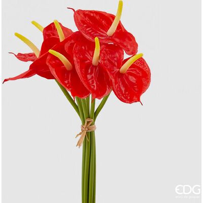 EDG Enzo De Gasperi Anturium Chic Bouquet H 37 Cm 7 Pz Coral EDG Enzo De Gasperi Anturium Chic Bouquet H 37 Cm 7 Pz Coral