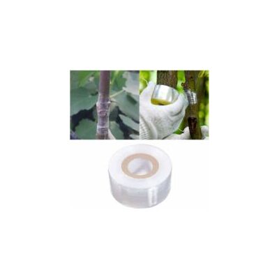 OEM Nastro Per Innesti, Nastro Per La Riparazione Di Piante, Nastro Per Innesti Di Alberi Da Frutto - Crezuo OEM Nastro Per Innesti, Nastro Per La Riparazione Di Piante, Nastro Per Innesti Di Alberi Da Frutto - Crezuo