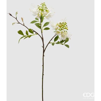 EDG Enzo De Gasperi Prunus Olis Ramo Fiorito H 66 Cm Bianco EDG Enzo De Gasperi Prunus Olis Ramo Fiorito H 66 Cm Bianco