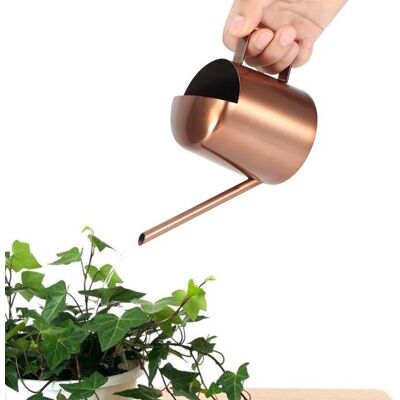 OEM Annaffiatoio Piccolo Da 300 Ml In Acciaio Inox Con Beccuccio Lungo: Perfetto Per Innaffiare Le Piante E Per L'Uso Domestico. OEM Annaffiatoio Piccolo Da 300 Ml In Acciaio Inox Con Beccuccio Lungo: Perfetto Per Innaffiare Le Piante E Per L'Uso Domestico.