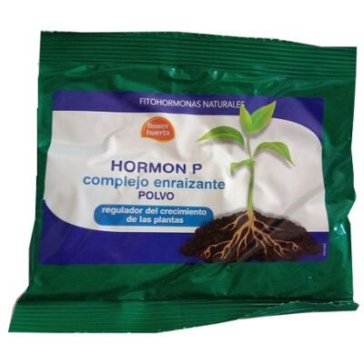 FLOWER Fiore Allozar Naturale Polvere Naturale Ormone P 100 Gr FLOWER Fiore Allozar Naturale Polvere Naturale Ormone P 100 Gr