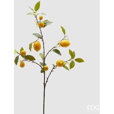 EDG Enzo De Gasperi Ramo Limone Artificiale Con Foglie E Frutta H 105 Cm Green Mix EDG Enzo De Gasperi Ramo Limone Artificiale Con Foglie E Frutta H 105 Cm Green Mix