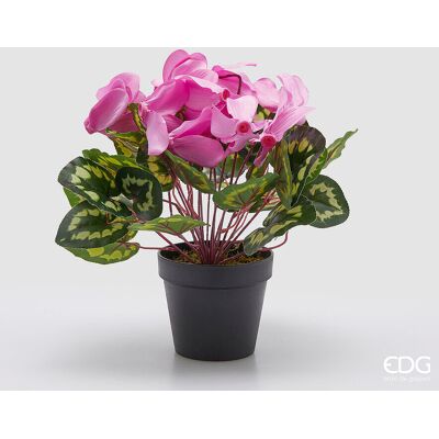 EDG Enzo De Gasperi Pianta Artificiale Ciclamino Con Foglie E Vaso H 32 Cm Rosa Scuro – Pianta Decorativa Realistica Design Moderno EDG Enzo De Gasperi Pianta Artificiale Ciclamino Con Foglie E Vaso H 32 Cm Rosa Scuro – Pianta Decorativa Realistica Design Moderno
