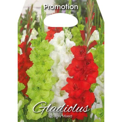 ALTRO Gladioli Italy Mixed (confezione Da 25 Bulbi) ALTRO Gladioli Italy Mixed (confezione Da 25 Bulbi)