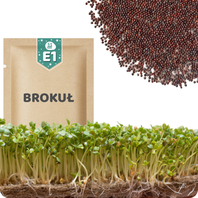 OEM 51seed E01 Semi Di Broccoli Da Germoglio 10g OEM 51seed E01 Semi Di Broccoli Da Germoglio 10g