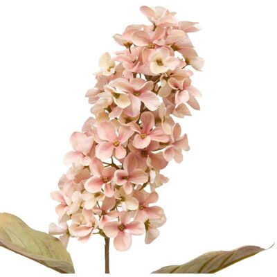 ATMOSPHERA Fiore Artificiale Di Seta Fria H66cm - Créateur D'Intérieur ATMOSPHERA Fiore Artificiale Di Seta Fria H66cm - Créateur D'Intérieur