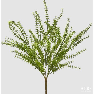 EDG Enzo De Gasperi Pianta Artificiale Ruscus Cespuglio H 54 Cm Verde – Pianta Decorativa Realistica Design Moderno EDG Enzo De Gasperi Pianta Artificiale Ruscus Cespuglio H 54 Cm Verde – Pianta Decorativa Realistica Design Moderno