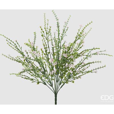 EDG Enzo De Gasperi Ginestra Cespuglio Pianta Artificiale H 55 Cm Rosa EDG Enzo De Gasperi Ginestra Cespuglio Pianta Artificiale H 55 Cm Rosa