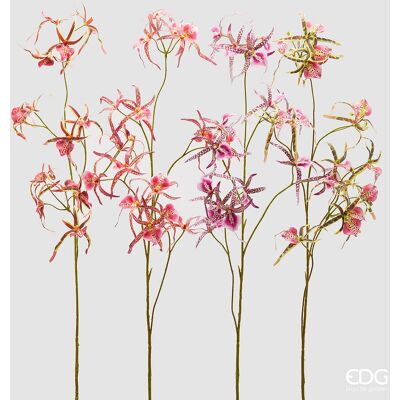 EDG Enzo De Gasperi Ramo Orchidea Caladenia Artificiale H 110 Cm Ass. Pink Mix 1 Pz EDG Enzo De Gasperi Ramo Orchidea Caladenia Artificiale H 110 Cm Ass. Pink Mix 1 Pz