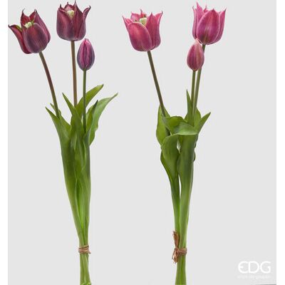 EDG Enzo De Gasperi Tulipano Gommato Olis 3 Rami H 48 Cm Lilla O Malva 1 Cf EDG Enzo De Gasperi Tulipano Gommato Olis 3 Rami H 48 Cm Lilla O Malva 1 Cf