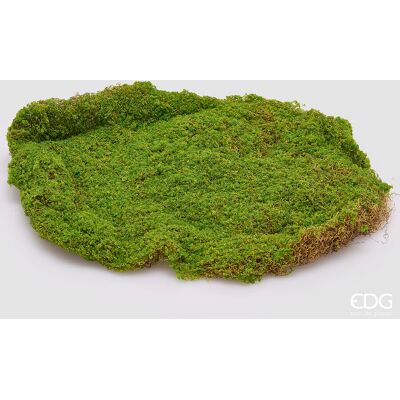 EDG Enzo De Gasperi Muschio Zolla Artificiale H 5 Cm D 40 Cm Verde EDG Enzo De Gasperi Muschio Zolla Artificiale H 5 Cm D 40 Cm Verde