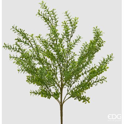 EDG Enzo De Gasperi Pianta Artificiale Bosso Cespuglio H 57 Cm Verde – Pianta Decorativa Realistica Design Moderno EDG Enzo De Gasperi Pianta Artificiale Bosso Cespuglio H 57 Cm Verde – Pianta Decorativa Realistica Design Moderno