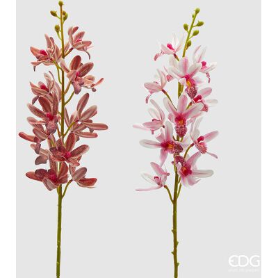 EDG Enzo De Gasperi Ramo Orchidea Cymbidium Artificiale H 70 Cm Ass. Two Tone Pink 1 Pz EDG Enzo De Gasperi Ramo Orchidea Cymbidium Artificiale H 70 Cm Ass. Two Tone Pink 1 Pz
