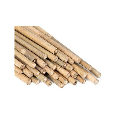 MARCA Canna Bamboo Naturale 240 Cm D.24 X 26 Mm C Line Garden 25 Pezzi MARCA Canna Bamboo Naturale 240 Cm D.24 X 26 Mm C Line Garden 25 Pezzi