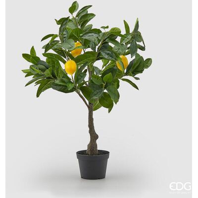 EDG Enzo De Gasperi Pianta Artificiale Di Limoni Bell Con Vaso Pvc H 70 Cm Giallo Verde EDG Enzo De Gasperi Pianta Artificiale Di Limoni Bell Con Vaso Pvc H 70 Cm Giallo Verde