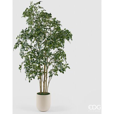 EDG Enzo De Gasperi Pianta Artificiale Ficus Beniamino Vogue Con Vaso H 240 Cm – Pianta Decorativa Realistica Design Moderno EDG Enzo De Gasperi Pianta Artificiale Ficus Beniamino Vogue Con Vaso H 240 Cm – Pianta Decorativa Realistica Design Moderno