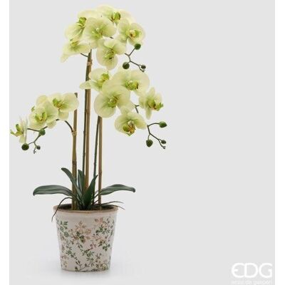 EDG Enzo De Gasperi Orchidea Phalaenopsis X3 Con Bocciolo E Vaso Pianta Artificiale H 65 Cm Verde EDG Enzo De Gasperi Orchidea Phalaenopsis X3 Con Bocciolo E Vaso Pianta Artificiale H 65 Cm Verde